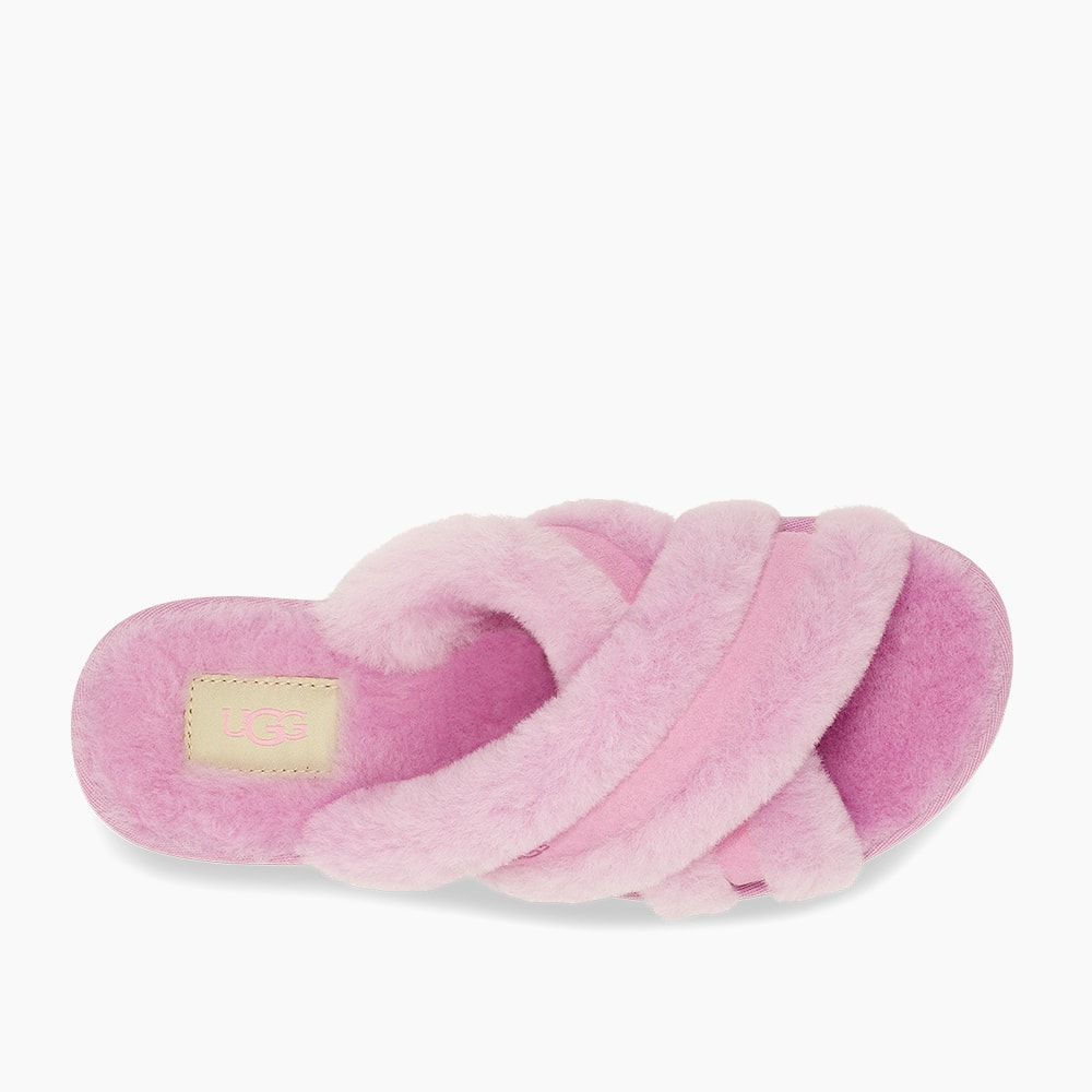 image_f914d27b-68d4-4432-8cd8-bc898594d6dc