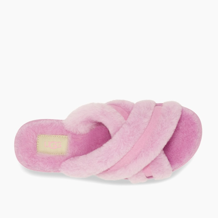 image_3b05937e-029e-4254-9d62-267077eafa7f